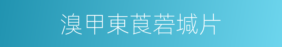 溴甲東莨菪堿片的同義詞