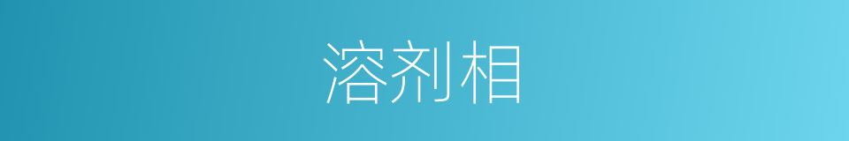 溶剂相的同义词