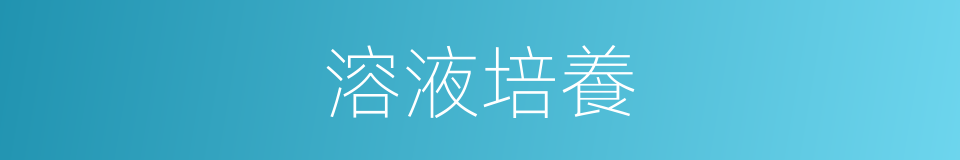 溶液培養的同義詞