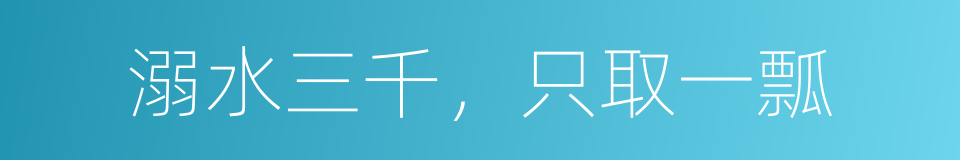 溺水三千，只取一瓢的同义词