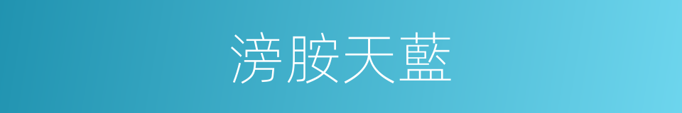 滂胺天藍的同義詞