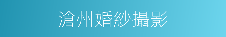 滄州婚紗攝影的同義詞
