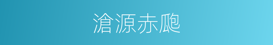 滄源赤瓟的同義詞