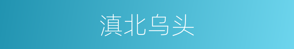 滇北乌头的同义词