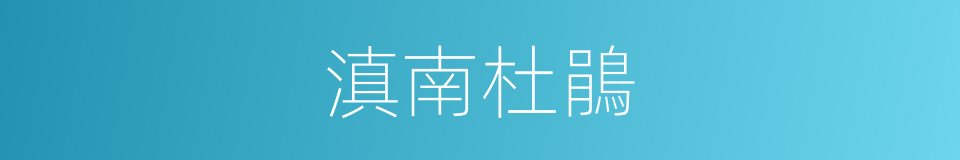 滇南杜鵑的同義詞