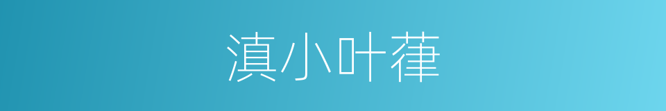滇小叶葎的同义词