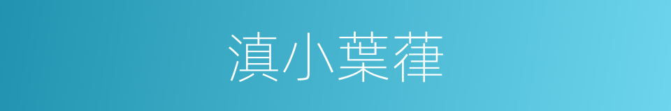 滇小葉葎的同義詞
