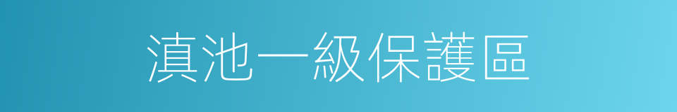 滇池一級保護區的同義詞