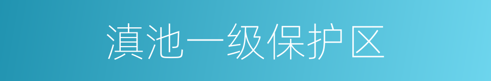 滇池一级保护区的同义词