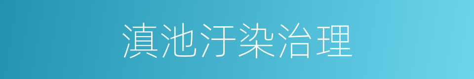 滇池汙染治理的同義詞