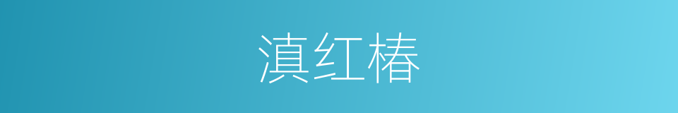 滇红椿的同义词