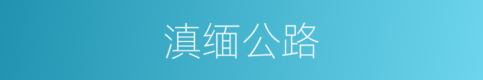 滇缅公路的同义词