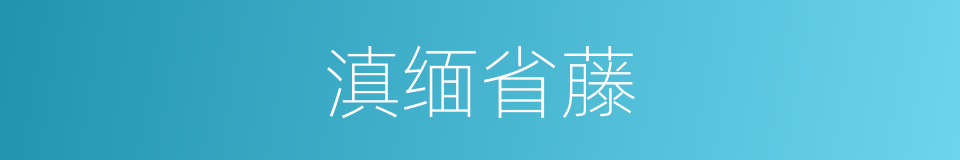 滇缅省藤的同义词