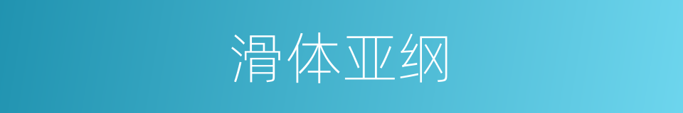 滑体亚纲的同义词