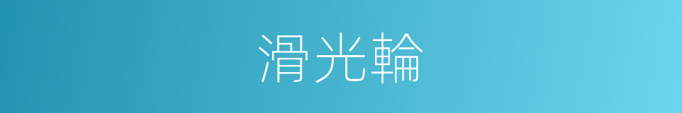 滑光輪的同義詞