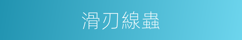 滑刃線蟲的同義詞