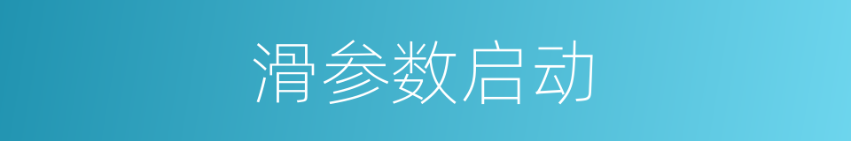 滑参数启动的同义词