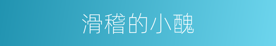 滑稽的小醜的同義詞
