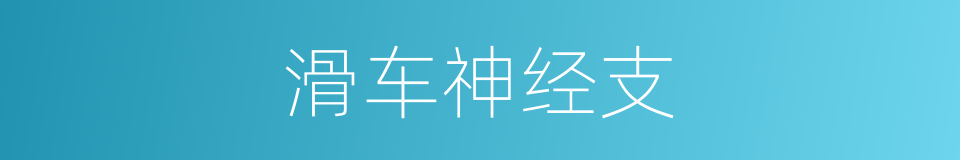 滑车神经支的同义词
