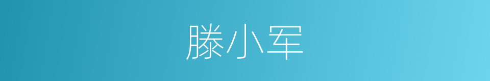 滕小军的同义词