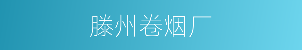 滕州卷烟厂的同义词