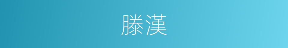 滕漢的同義詞