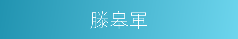 滕皋軍的同義詞