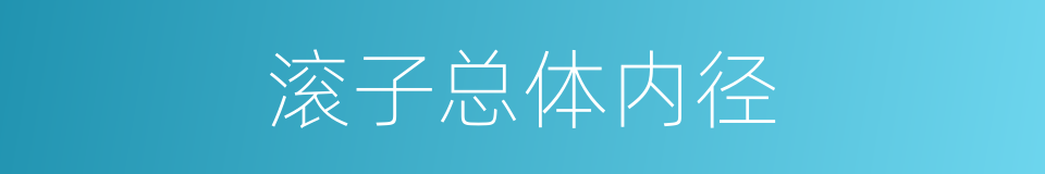 滚子总体内径的同义词