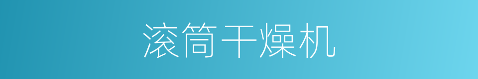 滚筒干燥机的同义词