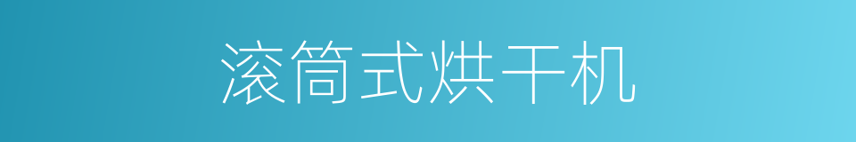 滚筒式烘干机的同义词