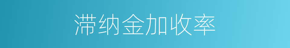 滞纳金加收率的同义词