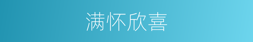 满怀欣喜的意思