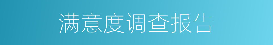 满意度调查报告的同义词
