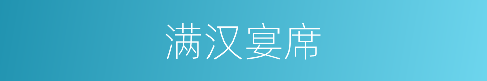 满汉宴席的同义词