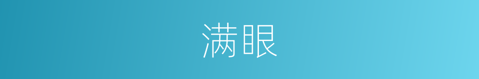 满眼的意思