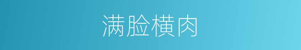 满脸横肉的意思