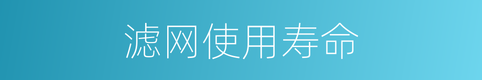 滤网使用寿命的同义词