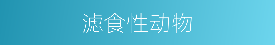 滤食性动物的同义词