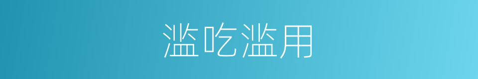 滥吃滥用的同义词