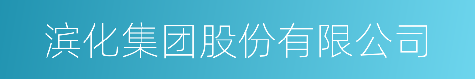 滨化集团股份有限公司的同义词