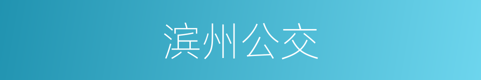 滨州公交的同义词