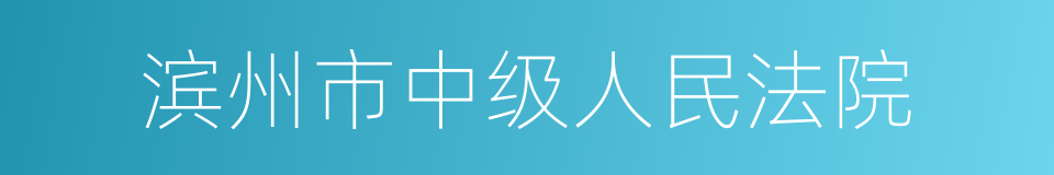 滨州市中级人民法院的同义词