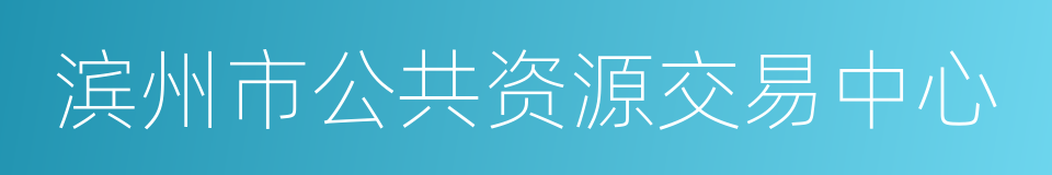 滨州市公共资源交易中心的同义词