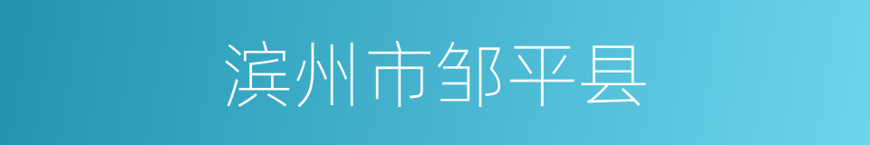 滨州市邹平县的同义词