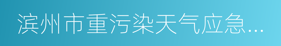 滨州市重污染天气应急预案的同义词