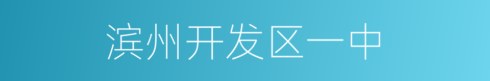 滨州开发区一中的同义词