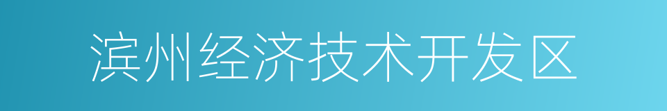 滨州经济技术开发区的意思