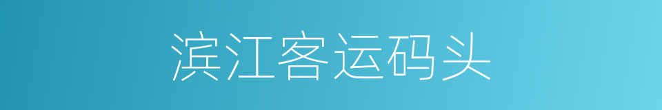 滨江客运码头的同义词