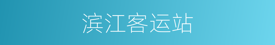 滨江客运站的同义词