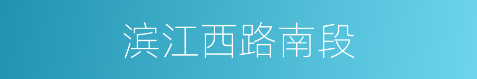 滨江西路南段的同义词